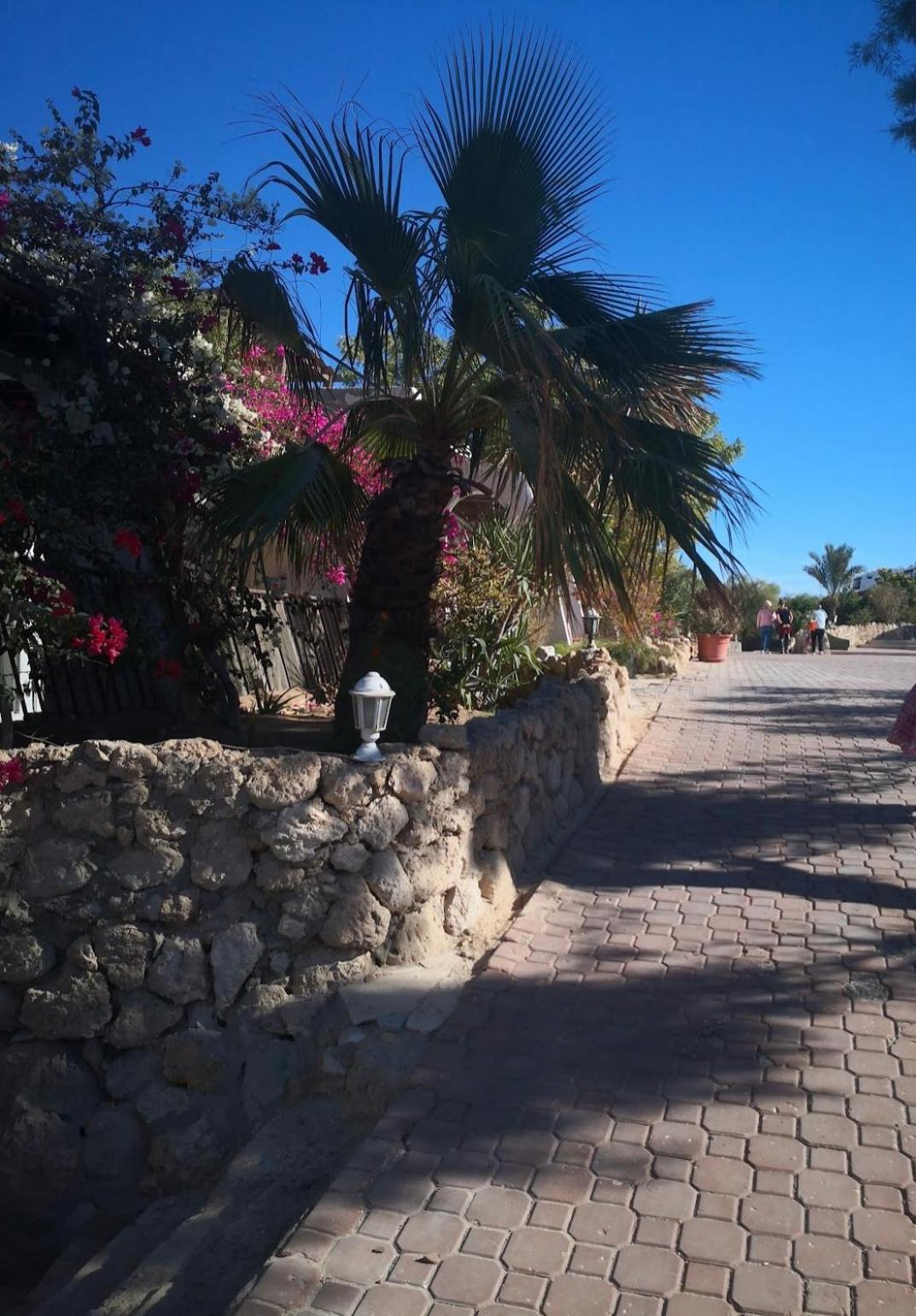 Cordoba Suites Hurghada Bagian luar foto